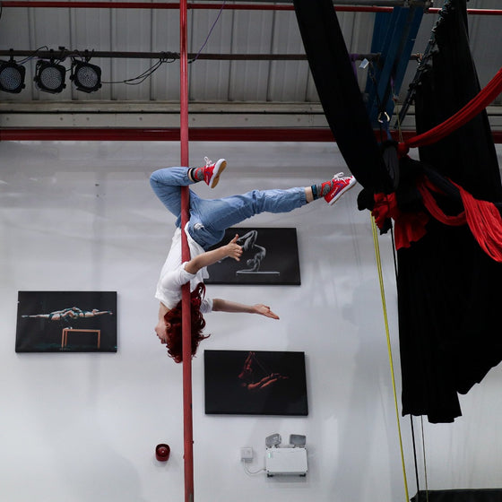 Adult Circus Workshop: Chinese Pole and Aerial Pole
