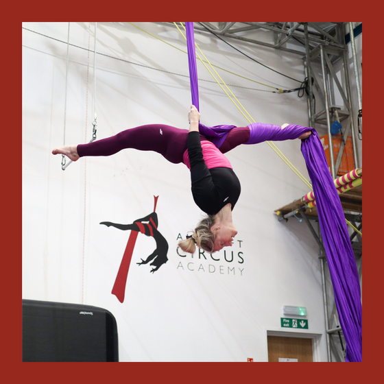 Adult Aerial - Silks