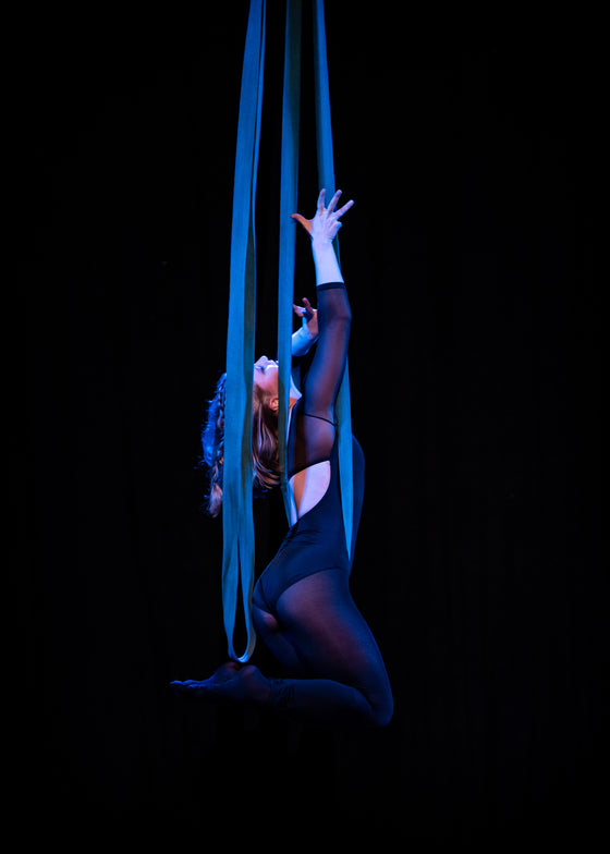 Adult 6 Week Intensive with Show Creation - NEW!