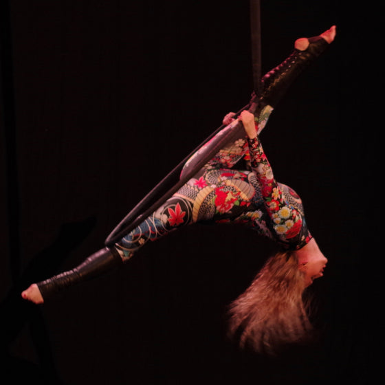 Adult 6 Week Intensive with Show Creation - NEW!