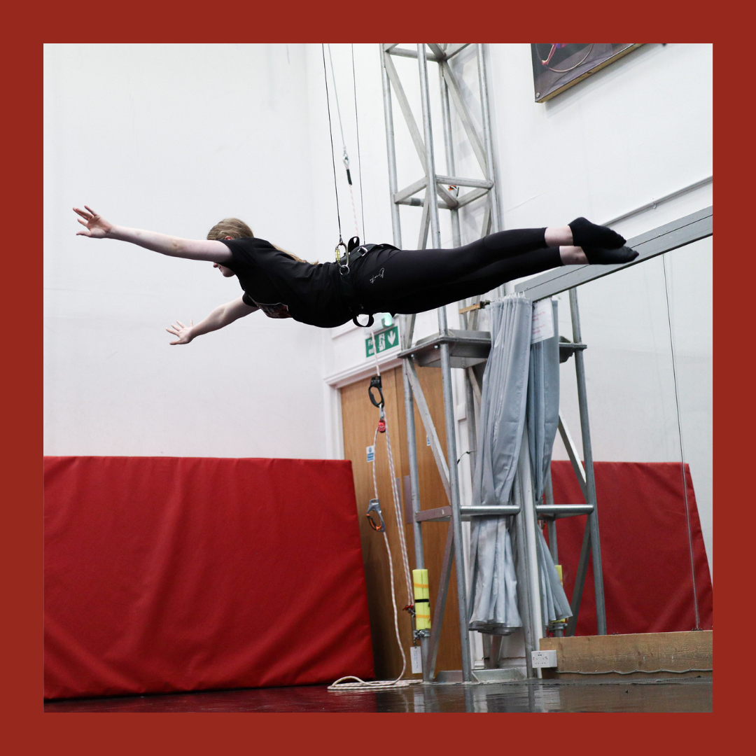 Private Lesson - Circular Harness